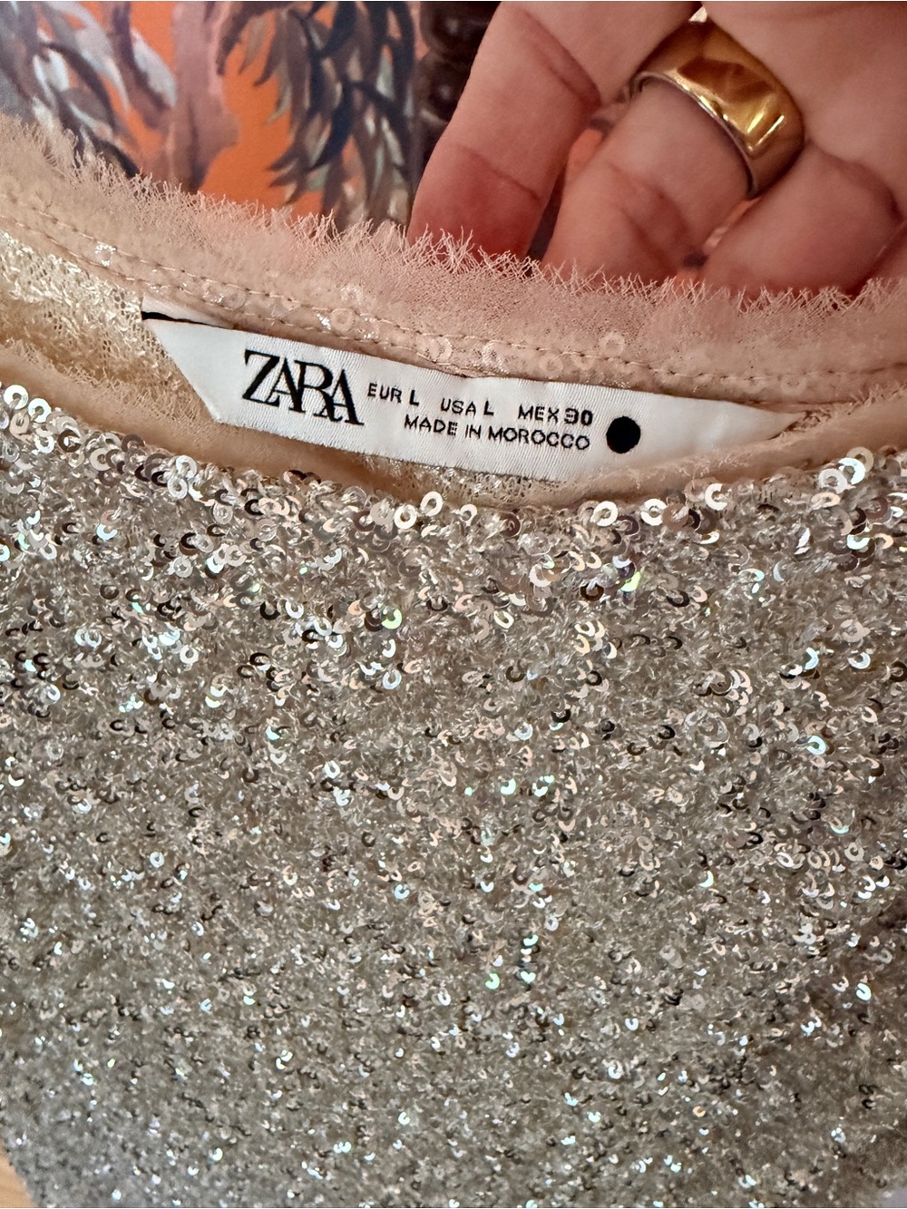 Zara Silver Sequin Top with Sheer Trim - Picture 3 of 3